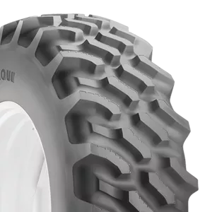 GOODYEAR Traction Torque R-1