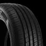 COSMO Real Cat 17 185/55R15