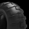 ADVANCE R-4 Series 16.9-24 F TL R-4 Series