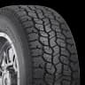 DICK CEPEK Trail Country 30X9.50R15LT C Trail Country