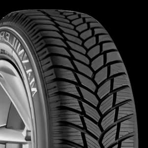 GT RADIAL Maxmiler WT