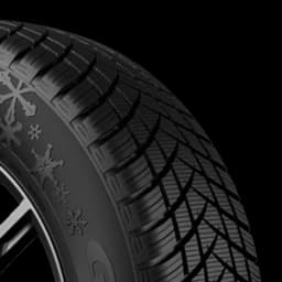 GT RADIAL WINTERPRO2