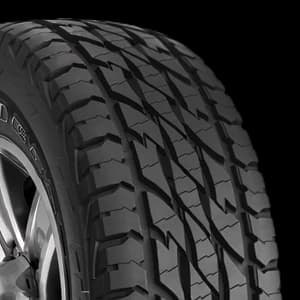 BRIDGESTONE Dueler A/T D697