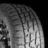 LANDSPIDER Wildtraxx A/T 31X10.50R15LT C Wildtraxx A/T