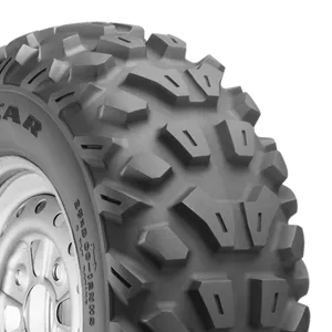GOODYEAR Rawhide RS