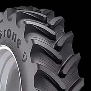 FIRESTONE Performer Evo R-1W