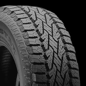 MILESTAR Patagonia A/T W