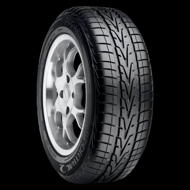 VREDESTEIN Sportrac 2
