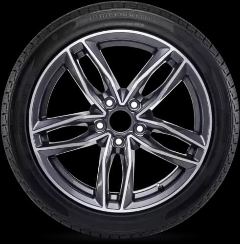RADAR Dimax 4 Season