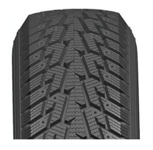 INTERSTATE Duration Winterquest LT