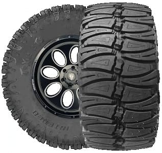 INTERCO Trxus STS Radial