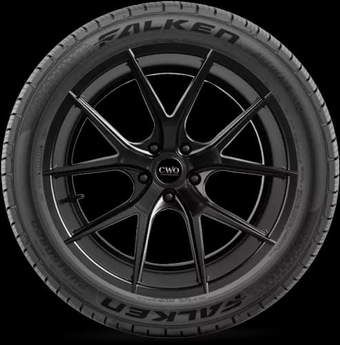 FALKEN Aklimate